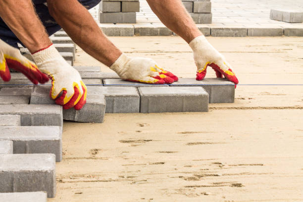 Best Brick Driveway Pavers  in South Alamo, TX
