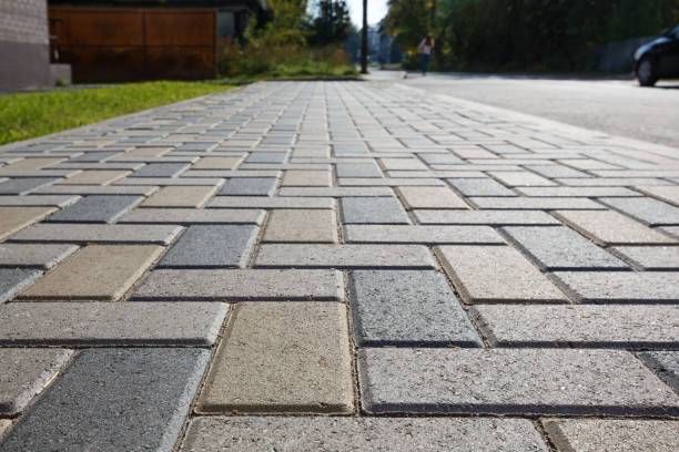 Best Driveway Pavers Near Me  in South Alamo, TX