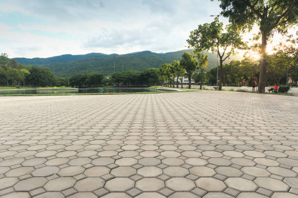 Best Brick Driveway Pavers  in South Alamo, TX
