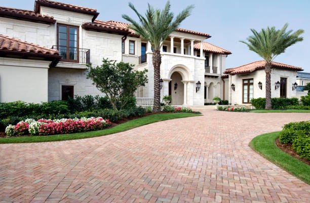 Best Professional Driveway Pavers  in South Alamo, TX