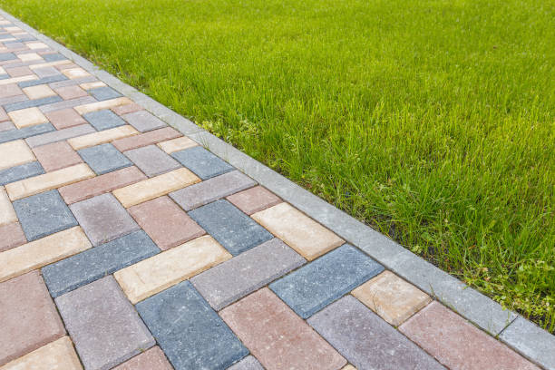 Best Interlocking Driveway Pavers  in South Alamo, TX